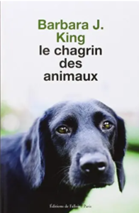 Le chagrin des animaux