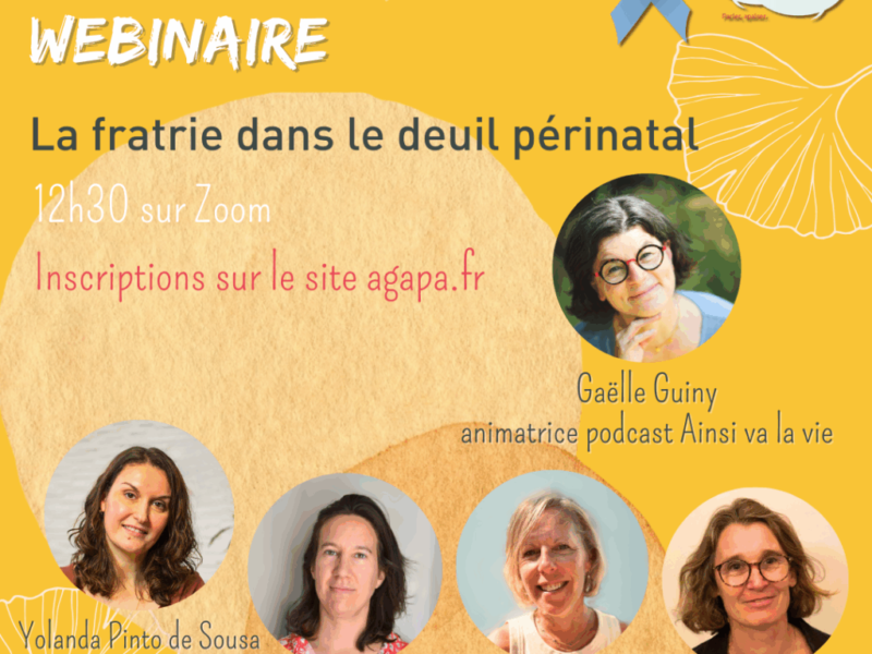 Webinaire “la fratrie touchée par le deuil périnatal”